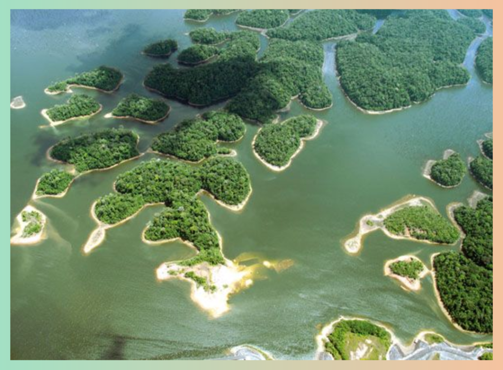 lac tropical, petites îles avec du sable et des arbres, buissons, eaux vert émeraude, paradisiaque